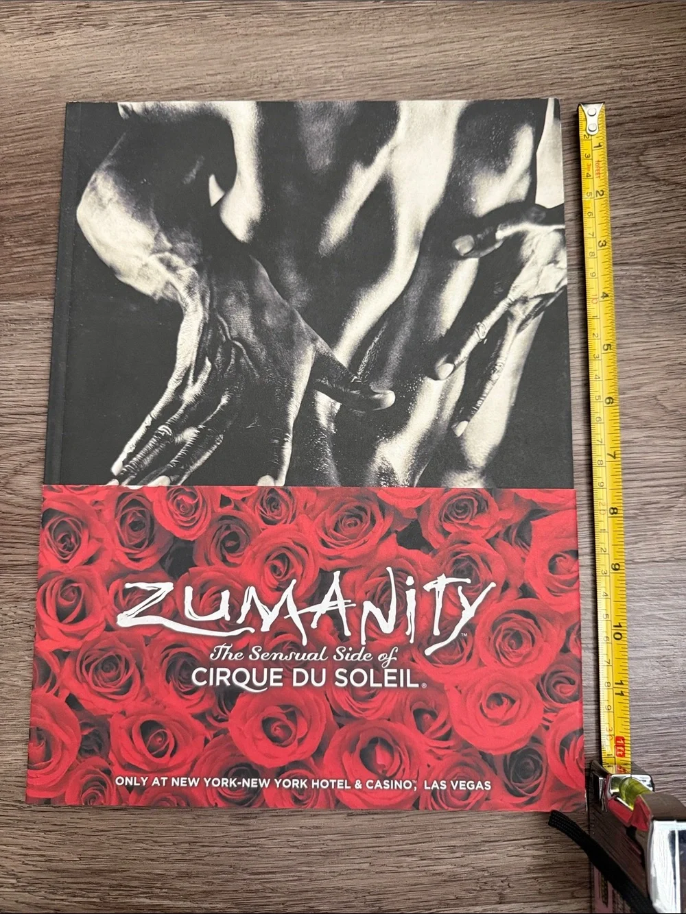 Cirque du Soleil Zumanity Official Souvenir Program Book Las Vegas
